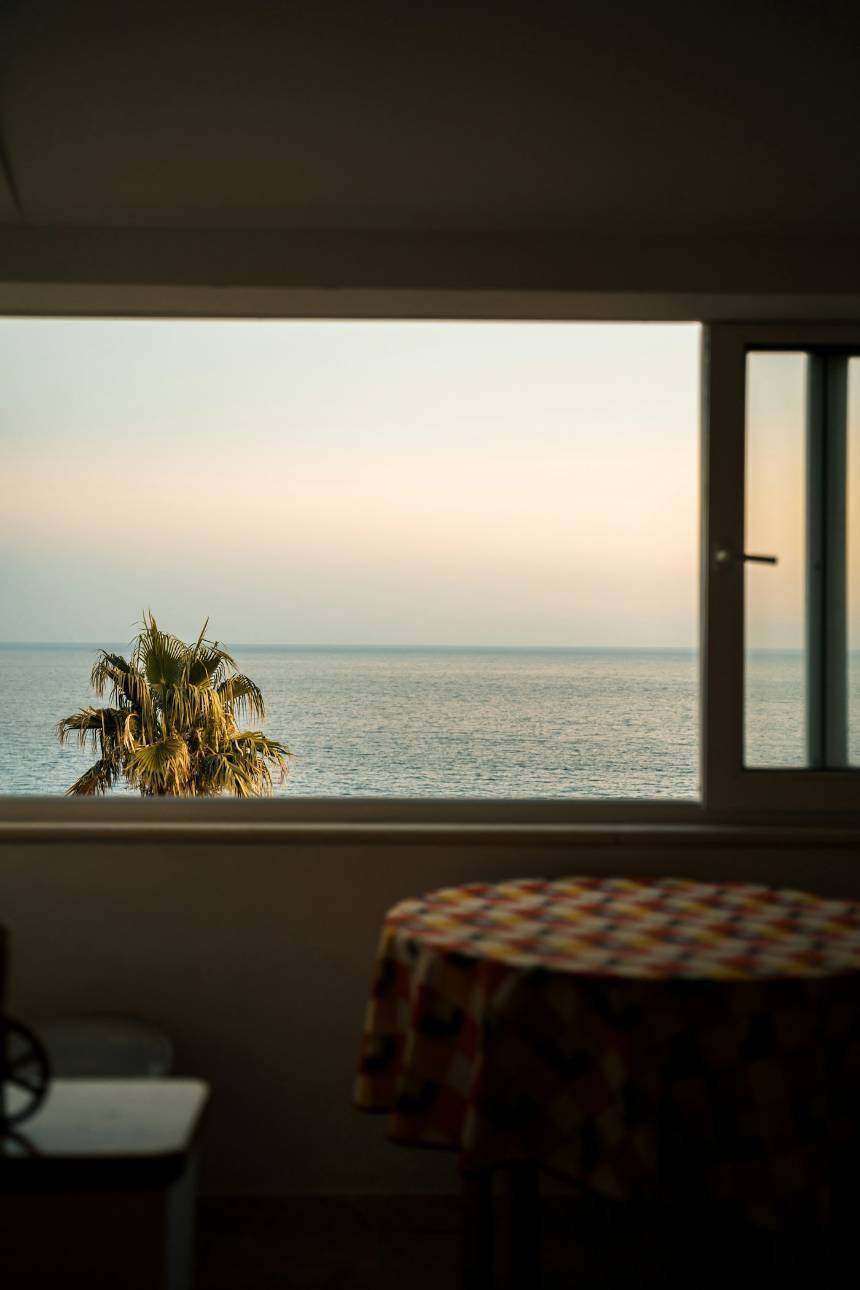 Vista do mar através de uma janela, com um coqueiro em primeiro plano.